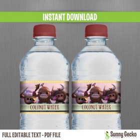 Moana Birthday Bottle Labels or Napkin Rings 